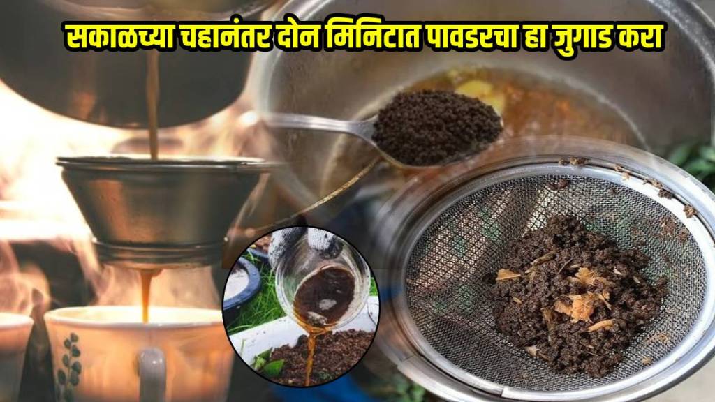 Chai Powder Reuse Black Tea On Hair These Easy Ways To Save Money In Kitchen Will Only Take 2 Minutes Gardening Hacks Marathi