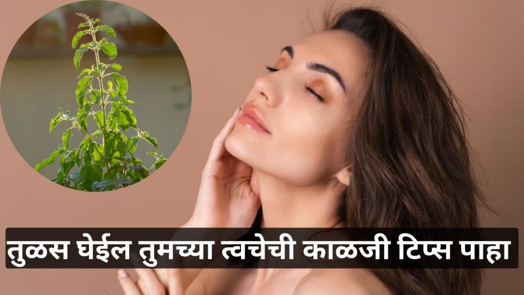 Tulasi leaves for skin care use tips