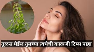 Tulasi leaves for skin care use tips