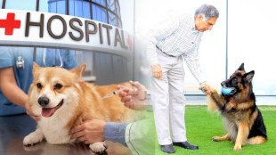tata Trusts to launch India’s first Animal Hospital