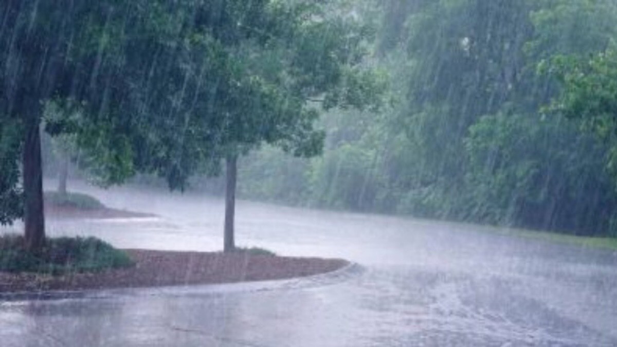 maharashtra weather update in marathi, maharashtra rain marathi news, chances of rain in maharashtra marathi news