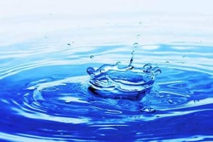 nashik water crisis marathi news, nashik water shortage marathi news