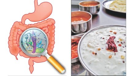 Loksatta chaturnag microbiota Physical and mental illness diet