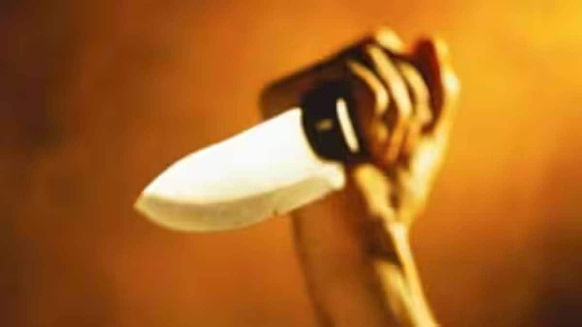 17 year old stabbed to death by two minors