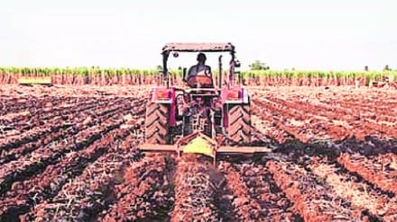 Cultivation or destruction of land The land becomes saline and infertile for agriculture