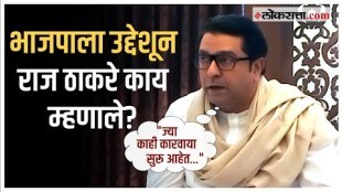 mns chief raj thackeray on bjp and ed actions on oppositions