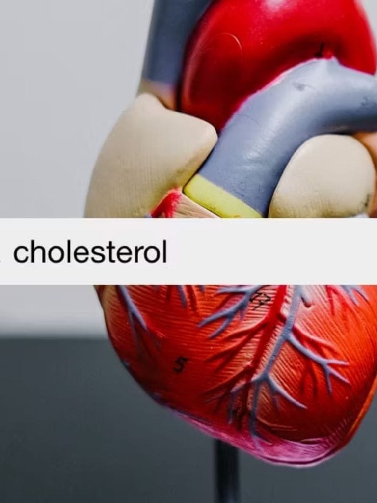 cholesterol control tips morning drinks to lower cholesterol level health tips gujarati news