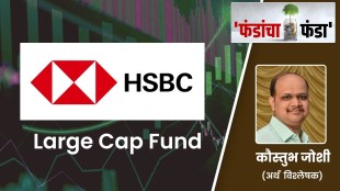 fund analysis of hsbc large capital fund mmdc