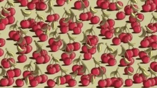 Optical Illusion Visual Test Dare yourself to spot a tomato among a bunch of cherries in 11 seconds flat