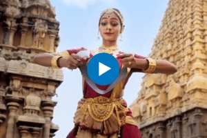 Flight safety instructions given by Air India showing a glimpse of India's diverse culture Video Viral