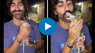 man kissed baby alligator viral video
