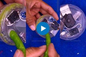 mini electric chili crusher machine viral video