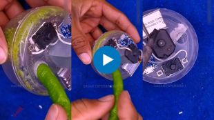 mini electric chili crusher machine viral video