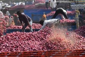 Allegation of the farmers association of abuse of onion producers