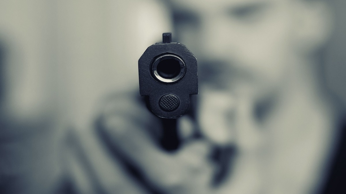 pistols Nagpur city