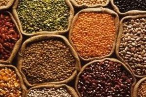 Shortage of pulses and the challenge of food inflation