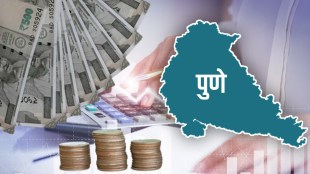 What did Pune get in the state budget for the year 2024-25