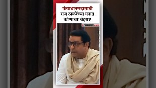 Raj Thackeray statement on candidate for the post of Prime Minister