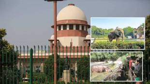 loksatta analysis supreme court verdict government has no right to start a zoo