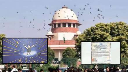 supreme court