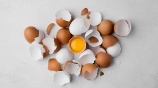 try these five amazing use of eggshells tips
