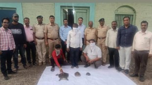 turtle smugglers Jalgaon Forest department arrested