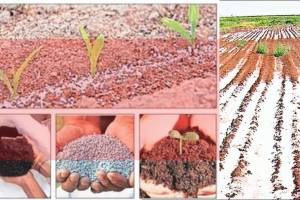 conservation of land component important in agriculture business