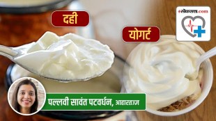 health special yogurt dahi difference health tips