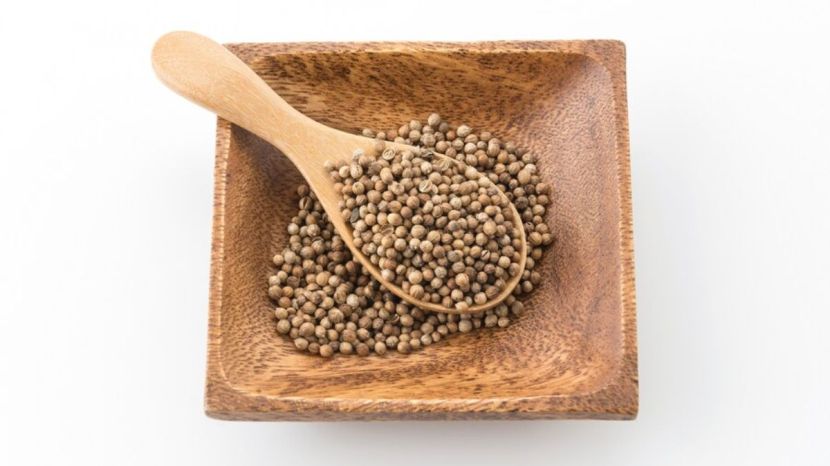 How to grow coriander at home garden tips 
