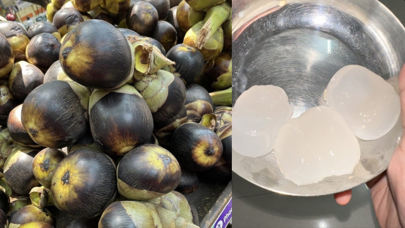 What is ice apple palm fruit tadgola rare indian fruit superfood benfits