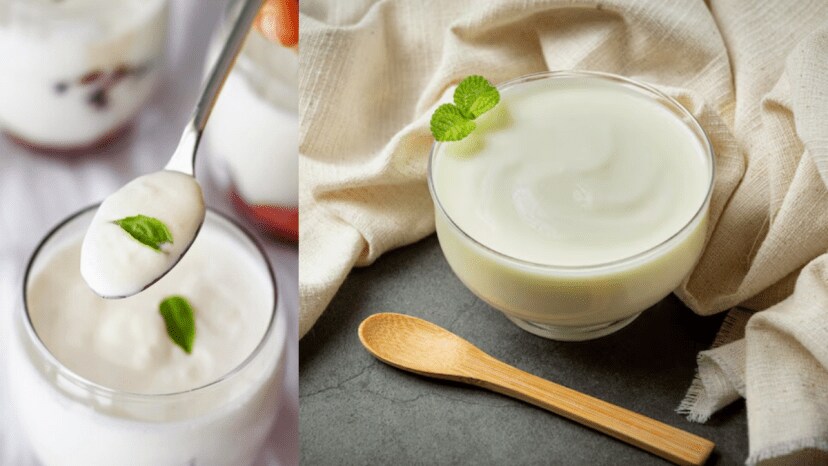 What happens to the body if you eat yoghurt every day