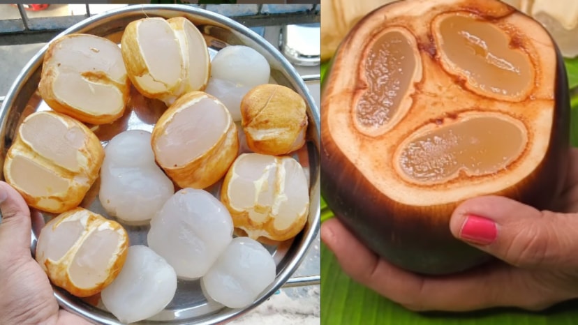 What is ice apple palm fruit tadgola rare indian fruit superfood benfits