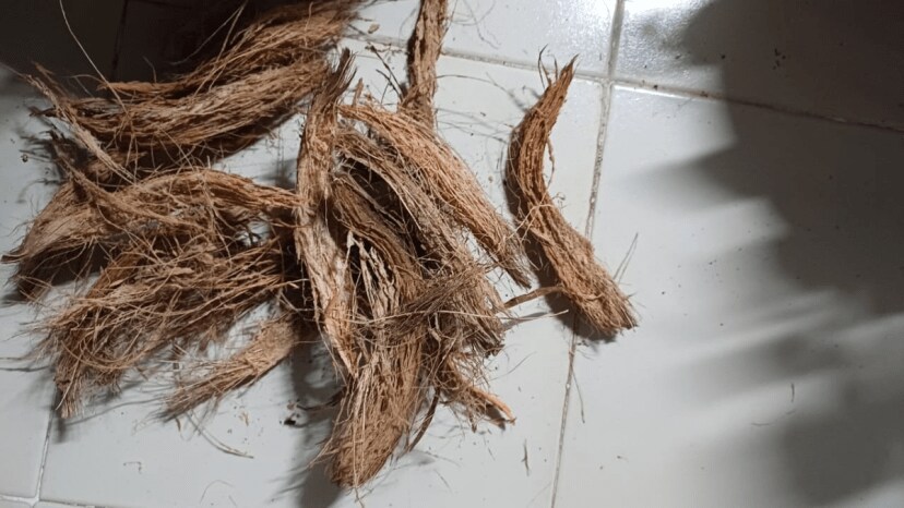 How to use coconut peels how to use coconut husk for plants