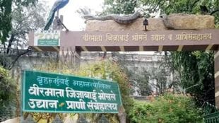 40 animals die in a year at Byculla Zoological Museum