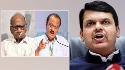 What Devendra Fadnavis Said?