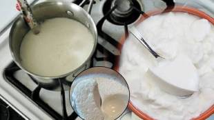 For Making Dahi Which Milk Is Best Where To Store Curd