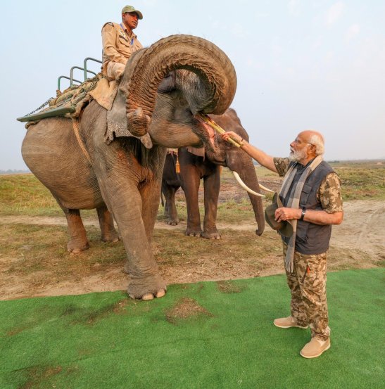 pm narendra modi enjoy jungle safari takes elephant ride at assams kaziranga national park