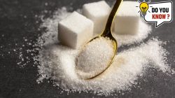 Sugar, साखर वा चिनी या गोड पदार्थाला इतकी नावं कशी पडली? जाणून घ्या रंजक इतिहास…