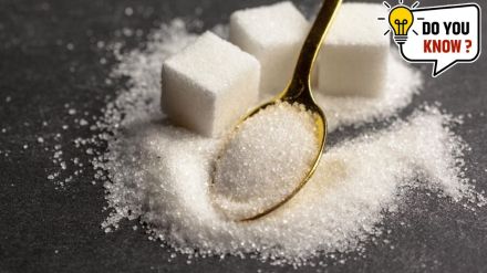 How sugar sakhar and chini get its name