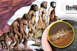 Human evolution explained