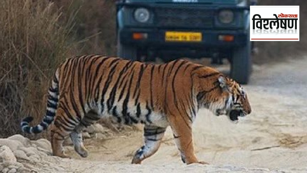 What is the Jim Corbett Park Tiger Safari Controversy