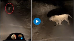 Man stops bike in middle of forest at night after spotting lion Viral Video