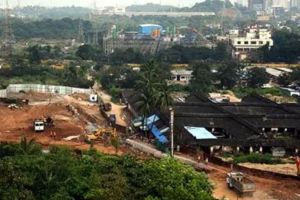 Mumbai Tree Cutting