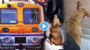 Video Dog Climbs In Mumbai Local Train In Crowd