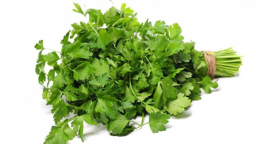 Chew Green Coriander Leaves On Empty Stomach Daily Morning