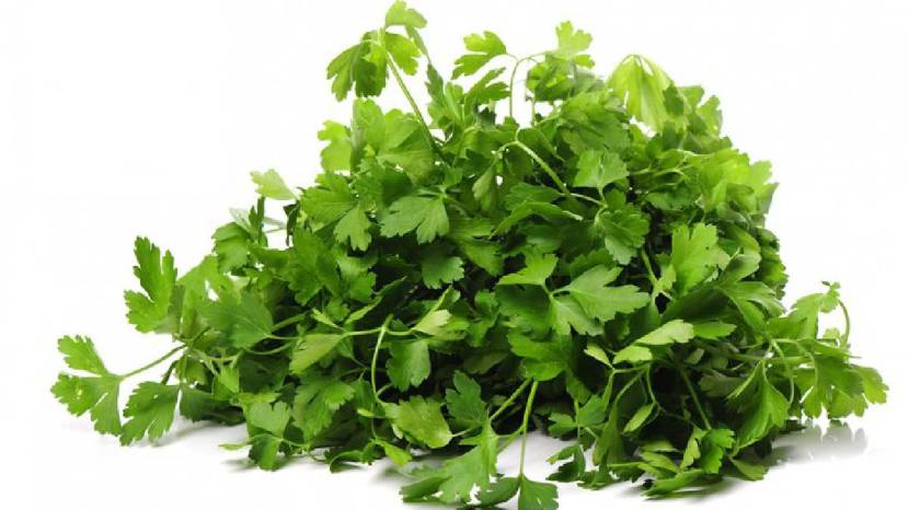 Chew Green Coriander Leaves On Empty Stomach Daily Morning