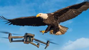 Telangana Police trained a eagles