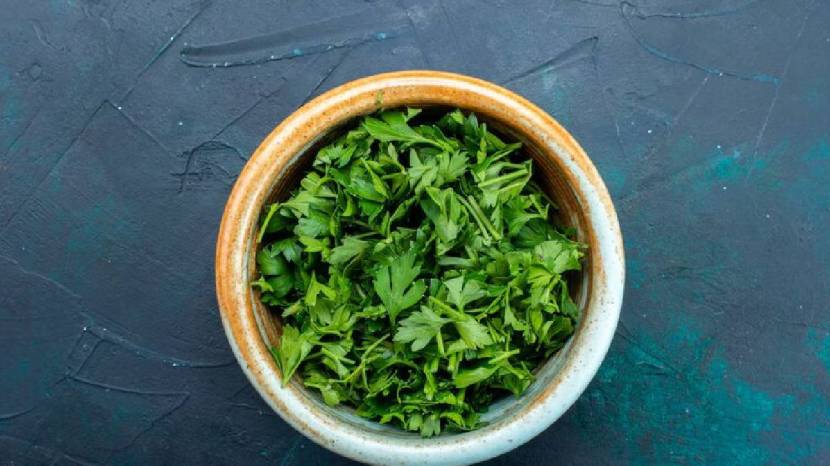 Chew Green Coriander Leaves On Empty Stomach Daily Morning