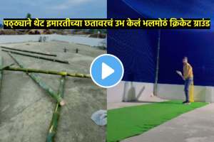 cricket lover such a passion for sports that a man converted his building rooftop into a cricket ground people are liking the video
