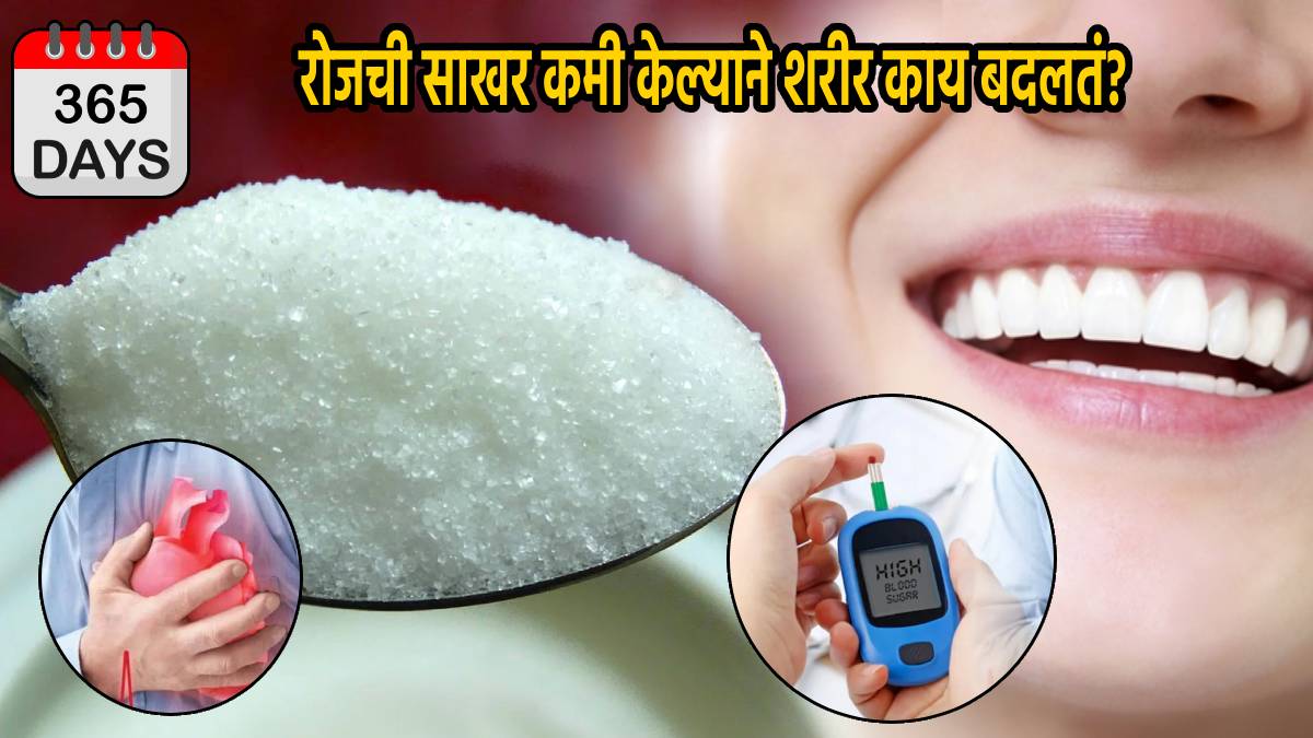 1 Year No Sugar Will Make Diabetes to Weight Loss Body Changes Experts Revels Calories One Spoon Sugar Jaggery Has Kartik Aryan Experiment